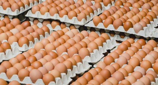 Экспортные поставки украинских яиц на латвийский рынок оказались под угрозой - причины