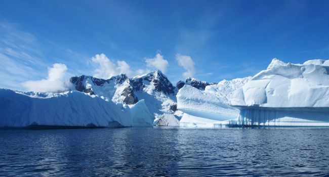 Спасут от опасных болезней: ученые сделали заявление о живых организмах в Антарктиде