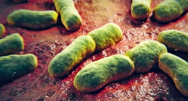 «Сегодняшним бактериям не страшны антибиотики»: Населению планеты Земля грозит встреча с супербактерией