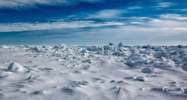 40 тысяч лет: ученые обнаружили древние образцы в Арктике