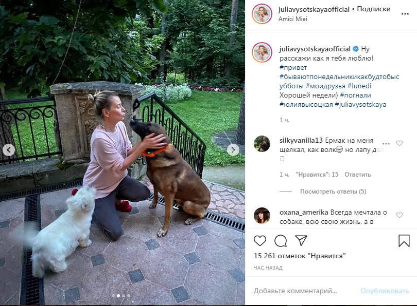 «Какая прелесть!» Юлия Высоцкая показала фото с собаками, умилив сеть