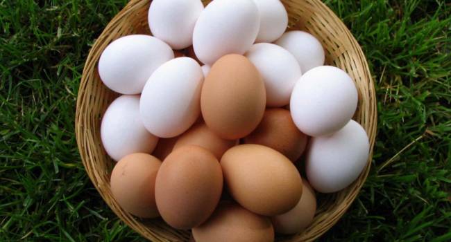 «Заявления о плохом холестерине - это миф»: диетологи рассказали о пользе куриных яиц