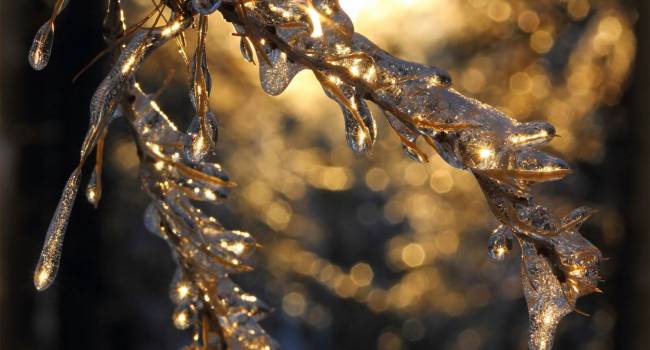 Ледяной дождь и оттепель: синоптик рассказала о неожиданной погоде предстоящей зимой