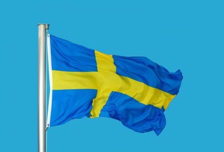 Шведы намеренно «оговаривают» Россию