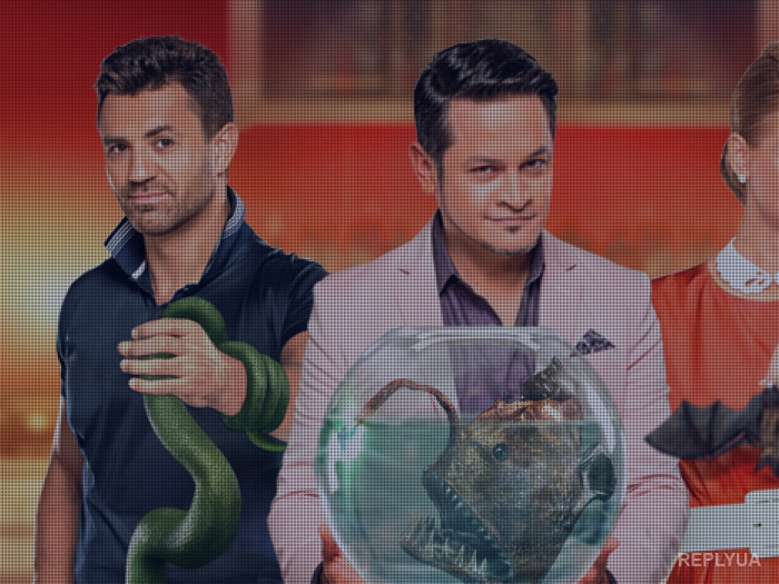 ������ ��� 5 ����� ��� ������� ������