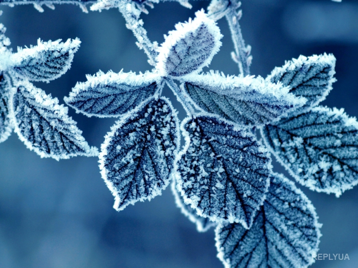 ��������� ���������� � ������ �� ����������� ����