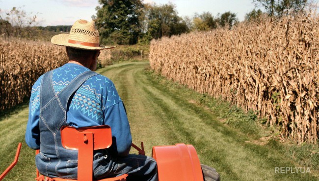 Семейные фермы вместо агрохолдингов: США окажут поддержку украинскому селу