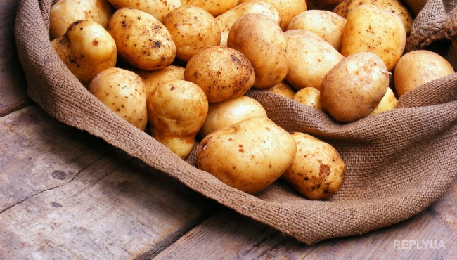 Развитие рака желудка можно предотвратить, употребляя картофель