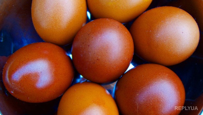 Диетологи опровергли миф о вреде яиц