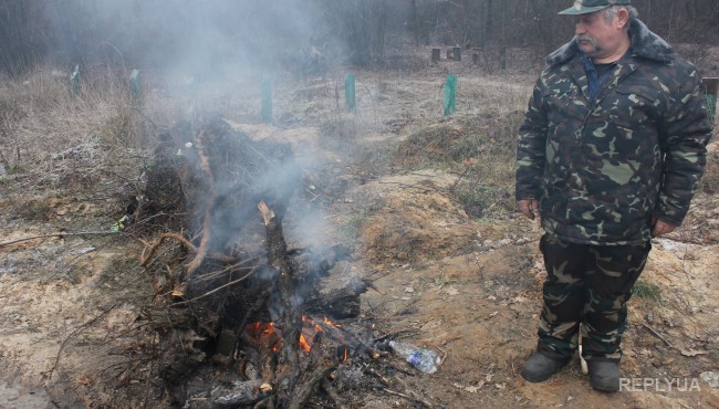 В Киеве усилили охрану лесов