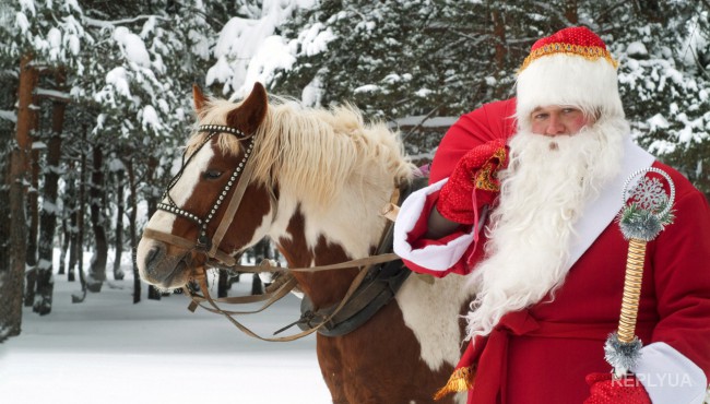 Дед Мороз нашел выгоду в энергоблокаде Крыма