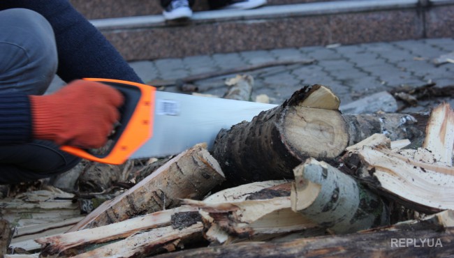 Под окнами Министерства Экологии сегодня рубили дрова в знак протеста