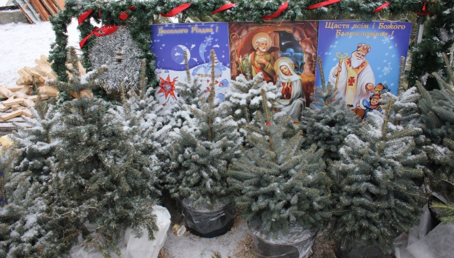Фоторепортаж уходящего года: как киевляне готовятся к празднику?
