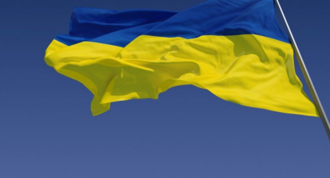 Депутат: с такими коалицией и Кабмином Украина из комы не выйдет