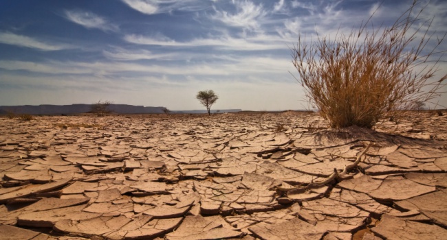 Биофизики: через несколько десятилетий Ближний Восток и Африка станут непригодными для жизни из-за аномальной жары