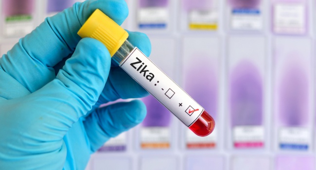 Ученые: эпидемия вируса Зика начнется в США в ближайшие дни