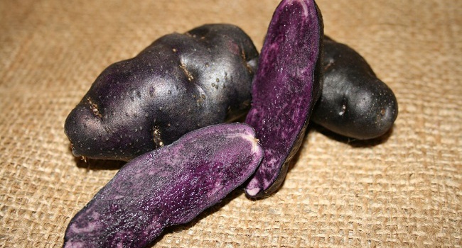 В США вывели картофель, полезный, как голубика или гранат