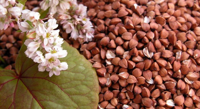 �������� ���������� ���������, ��� ���������� � ������ ������