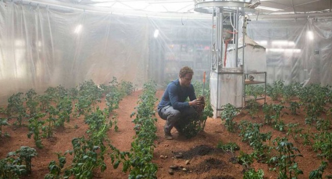 Вчені: "марсіанські" овочі можна їсти 