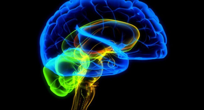 Вчені: психотропна аяуаска  здатна відновлювати мозок