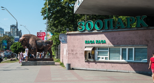Киевский зоопарк будет полностью реконструирован к юбилею