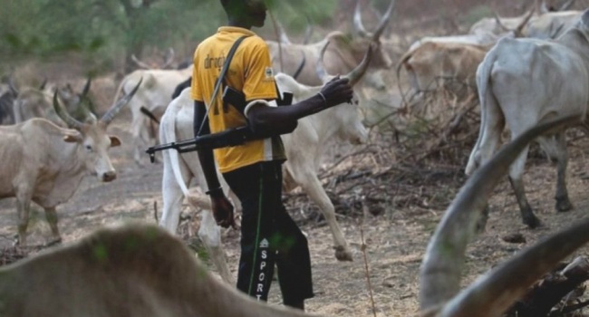 В Нигерии со скотокрадами борятся правительственные войска