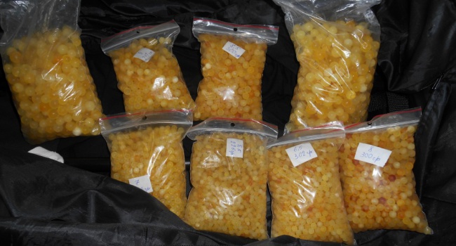 ��������� ����: ��� �������� �� ���