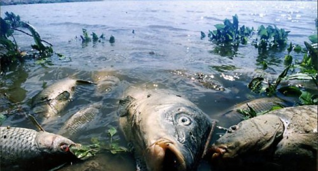 Американська авіабаза отруїла воду в Колорадо Американська авіабаза отруїла воду в Колорадо
