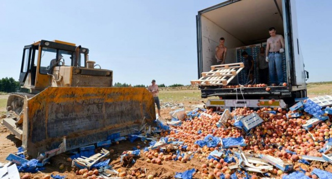 Из бюджета России в 2016 году на уничтожение «санкционных» продуктов выкинули 5 миллиардов рублей – блогер Из бюджета России в 2016 году на уничтожение «санкционных» продуктов выкинули 5 миллиардов рублей – блогер