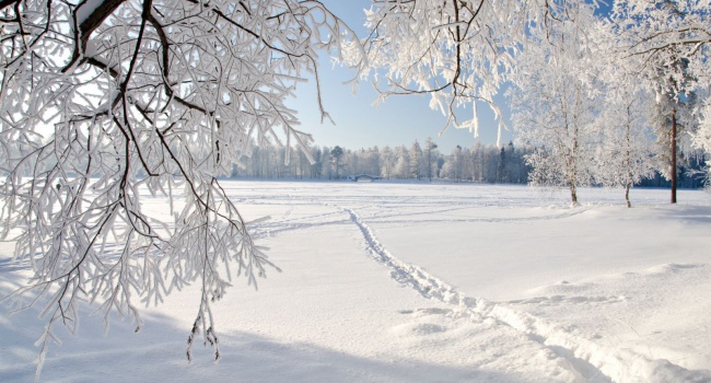 Синоптик рассказала, какой будет в Украине эта зима
