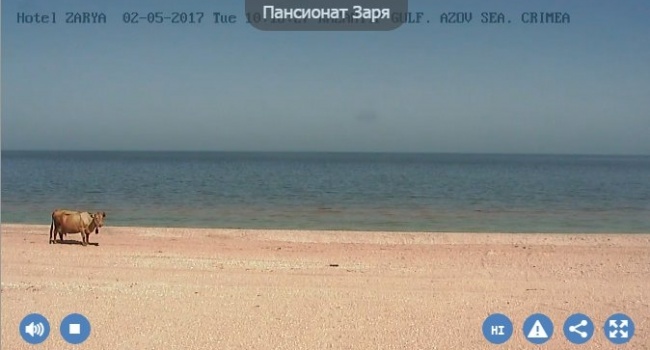 Идут на рекорд: в сети потроллили новости о росте туристического потока в Крыму
