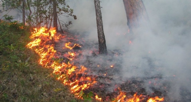 Последствия первомайских пикников: в Киевской области зафиксировано 36 пожаров