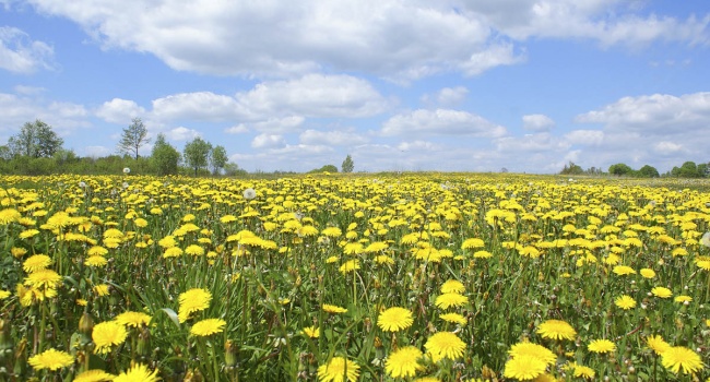 Убирайте теплые куртки, – появился долгожданный прогноз на неделю