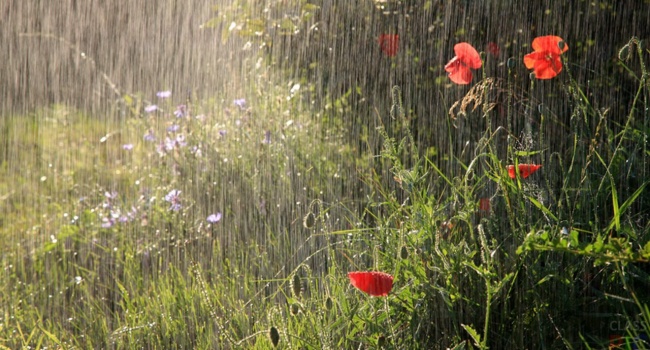 Гидрометцентр: тепло приходит в Украину, но дожди не прекратятся