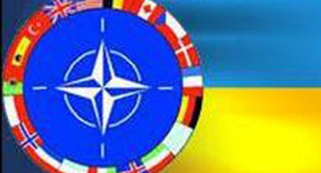 В НАТО считают Украину лучшей многих стран-членов альянса