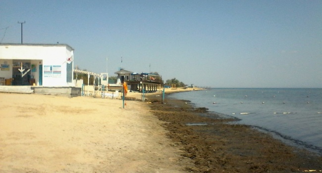 «Жара, вонь и тина, а еще отсутствие туристов», - в сети показали известный крымский пляж