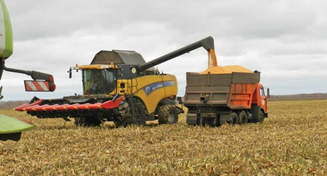 Большой урожай зерновых привел к рекордному экспорту 