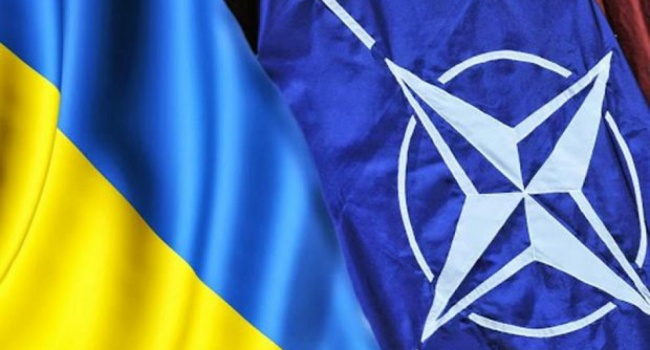 Украина получила от НАТО оборудование для разминирования Украина получила от НАТО оборудование для разминирования