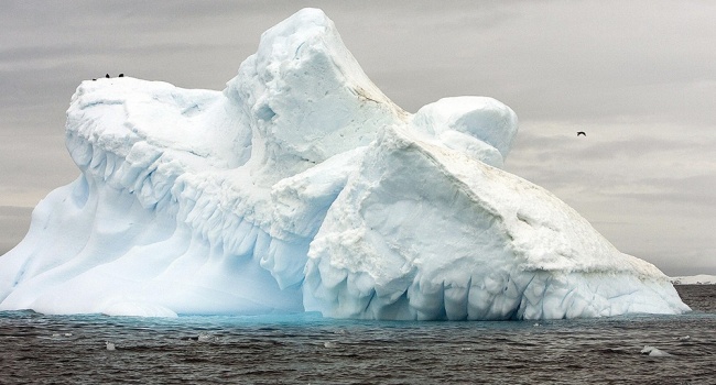 Ученые из РФ посмеялись над «сенсацией» в мировых СМИ о леднике Ларсена