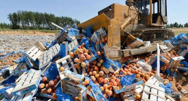 Названы объемы санкционных продуктов, уничтоженных в России Названы объемы санкционных продуктов, уничтоженных в России