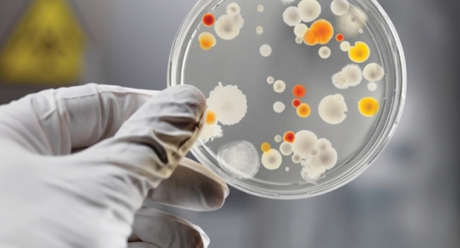 ����� ������� �������� �� ������� ����