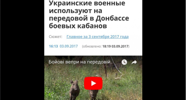 Блогер: найбільше у війні з Росією втомлює те, що щодня змушений пізнавати наскільки вони навіжені Блогер: найбільше у війні з Росією втомлює те, що щодня змушений пізнавати наскільки вони навіжені
