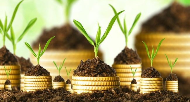 У плані інвестицій Україна конкурує з Африкою, – фінансист У плані інвестицій Україна конкурує з Африкою, – фінансист