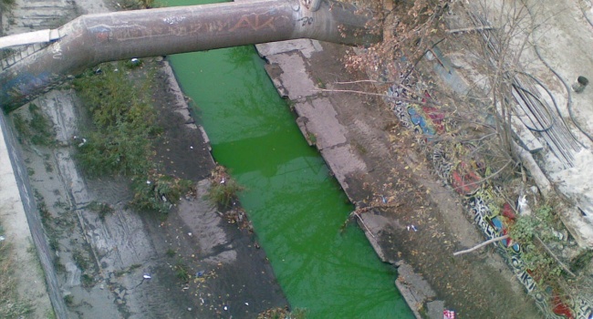 Река в Киеве приобрела ярко зеленый оттенок