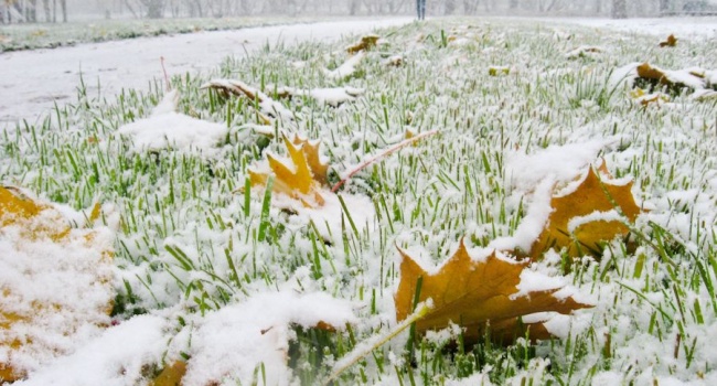 Синоптики обещают первый снег в Украине на следующей неделе