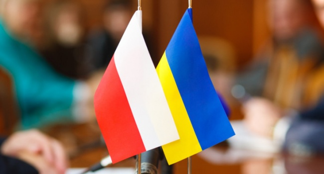 Польский сенатор: «Украина варварски относится к исторической памяти» Польский сенатор: «Украина варварски относится к исторической памяти»