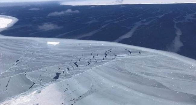 В сети показали огромный айсберг, отколовшийся от ледника Ларсена