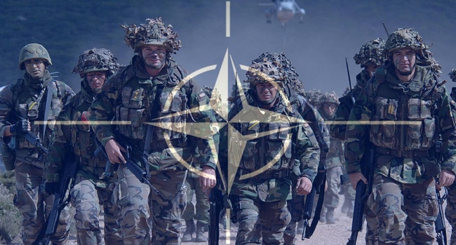 В НАТО заявили о соответствии армии Грузии уровня Альянса В НАТО заявили о соответствии армии Грузии уровня Альянса