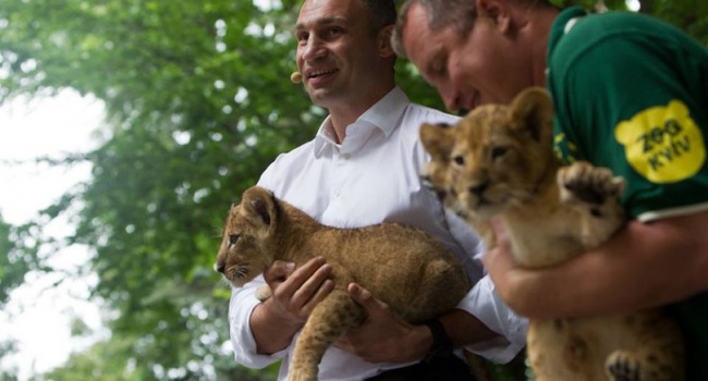 Кличко снова заговорил о реконструкции киевского зоопарка
