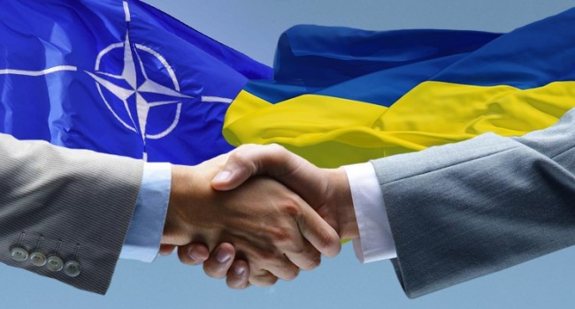Украина сделала огромный прыжок к членству в НАТО, - эксперт Украина сделала огромный прыжок к членству в НАТО, - эксперт